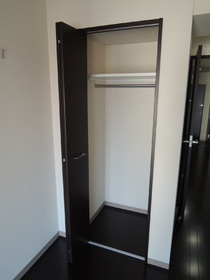 Other. It is a closet.