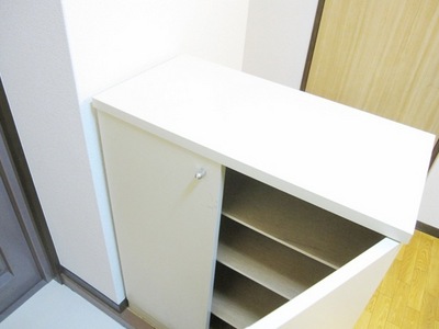 Other. There is also a cupboard