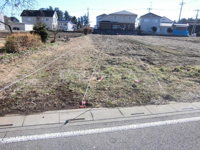 Local land photo. Local (12 May 2013) Shooting