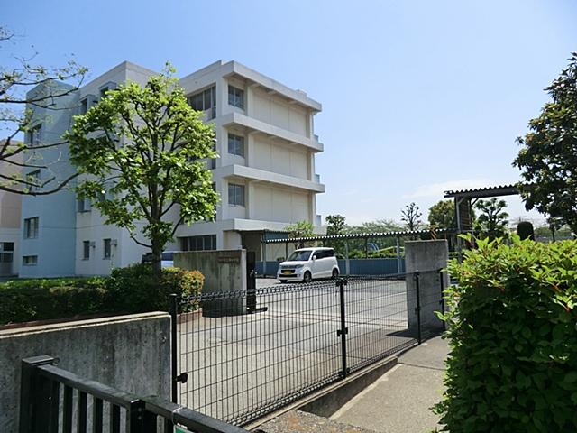 Other. Minamiko 1050m