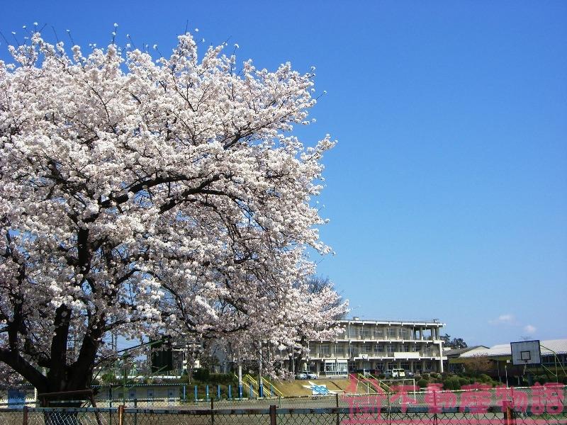 Junior high school. Sakado 2550m to stand Wakamiya junior high school