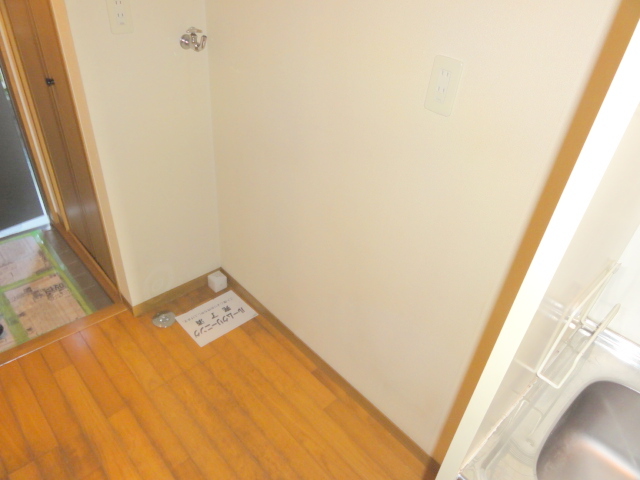 Other room space. Laundry Area are equipped in the room!