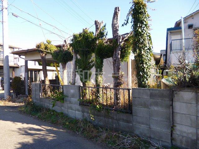 Local land photo. Local (12 May 2013) Shooting