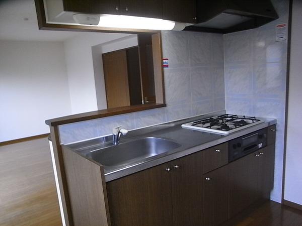 Kitchen. Bright counter kitchen