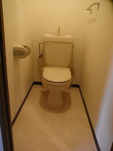 Toilet. Bright toilet