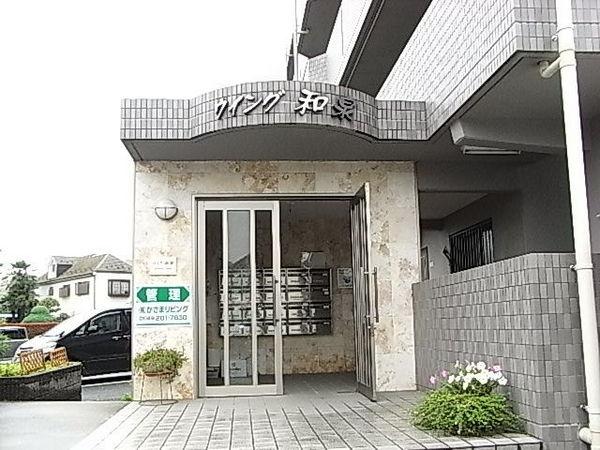 Entrance. Bright Entrance