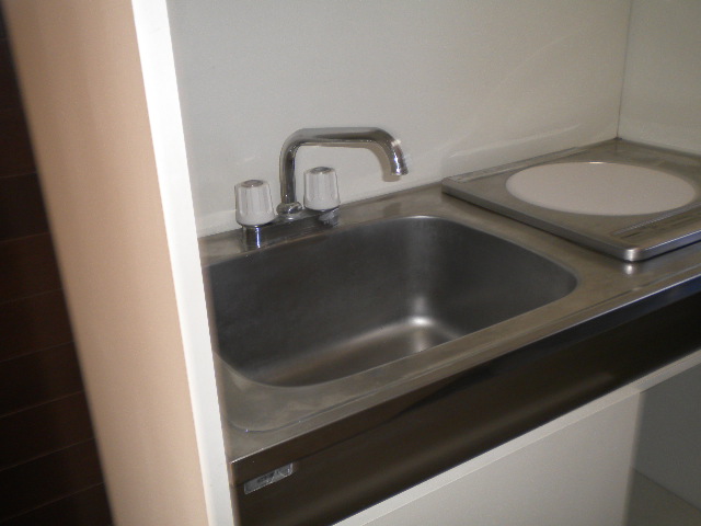 Kitchen. IH cooking heater