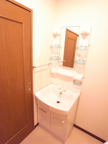 Washroom. Wash basin Indoor Laundry Storage