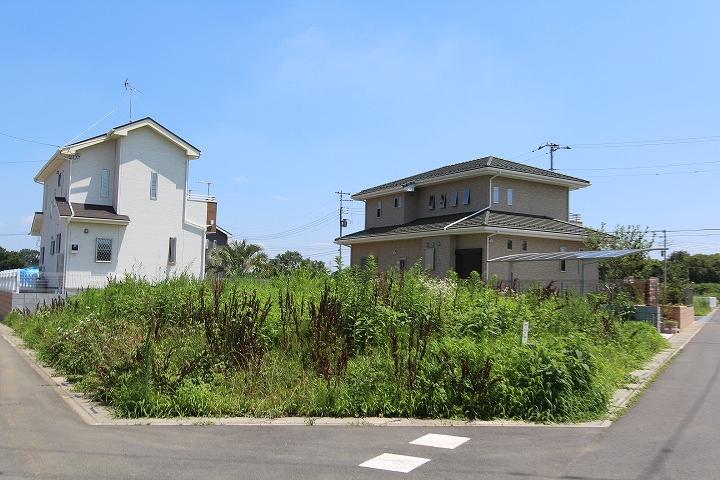 Local land photo. Local land photo 80 Building