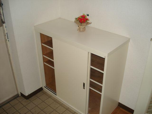 Entrance. Entrance of the shoebox