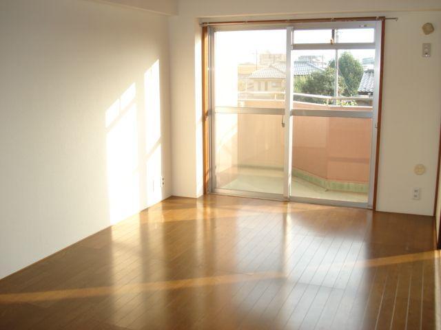 Living and room. room