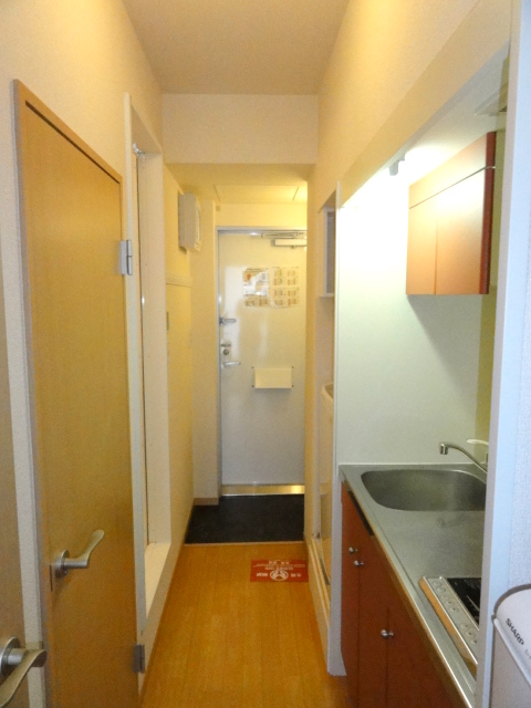 Entrance. It is entrance corridor.