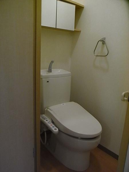 Toilet. Bright toilet