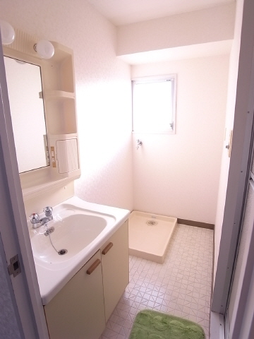 Washroom. Wash basin Indoor Laundry Storage