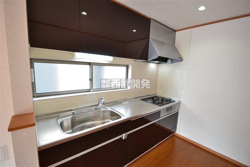 Kitchen. Indoor (11 May 2013) Shooting