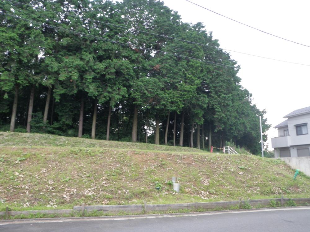 Local land photo. Local (July 2012) shooting