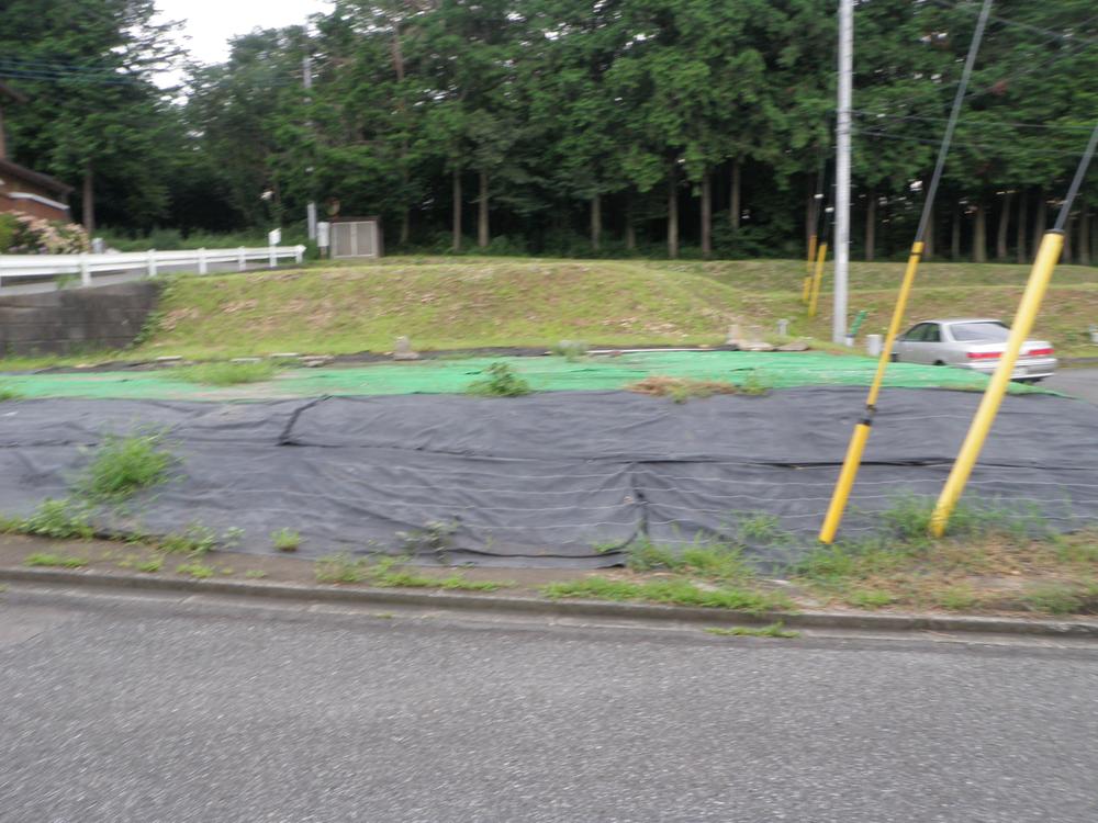 Local photos, including front road. Local (July 2012) shooting