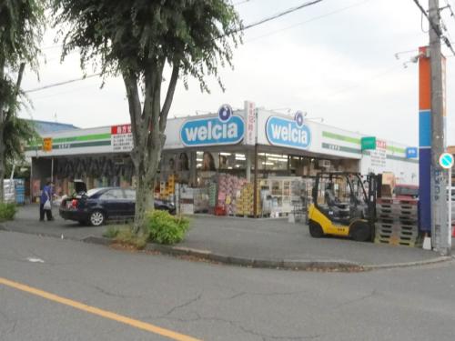 Dorakkusutoa. Uerushia North Sakado shop 635m until (drugstore)