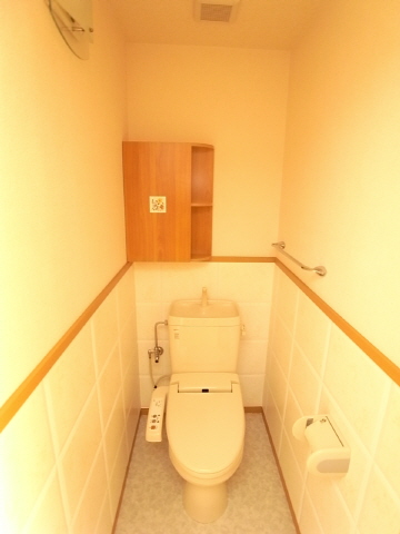 Toilet. Multi-function toilet seat