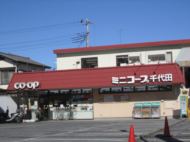Supermarket. Minikopu Chiyoda store up to (super) 191m