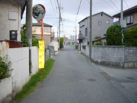 Local land photo. Southwest side of the front road (1)