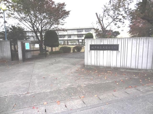 Primary school. Landlord elementary school