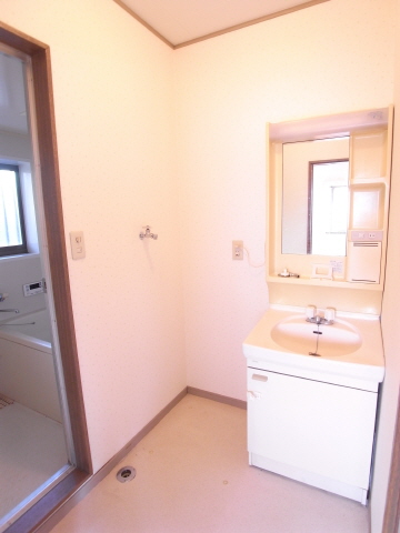 Washroom. Washroom Wash basin Indoor Laundry Storage