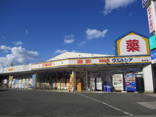 Dorakkusutoa. Uerushia Sakado Yanagimachi shop 834m until (drugstore)