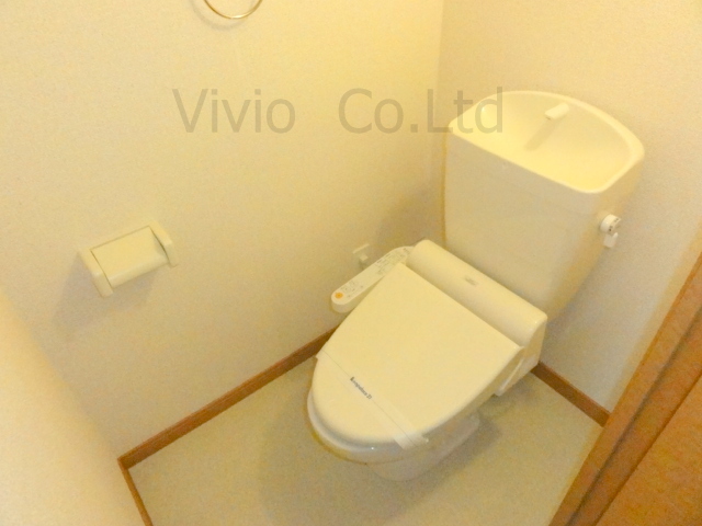 Toilet. It is with warm water washing toilet seat.