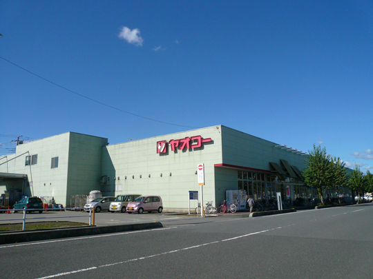 Supermarket. Yaoko Solitary pine tree to the store 1800m