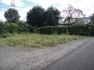 Local photos, including front road. Local (10 May 2012) shooting