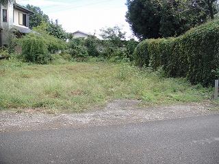 Local land photo. Local (10 May 2012) shooting