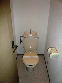 Toilet. Toilet