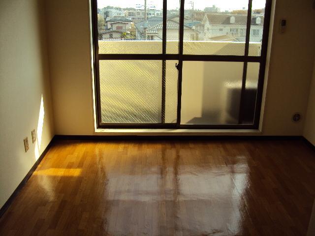 Living and room. Western style room