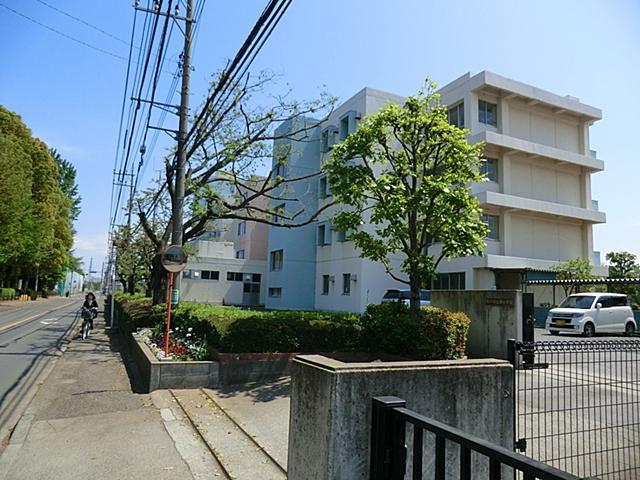 Other. Minamiko 1600m