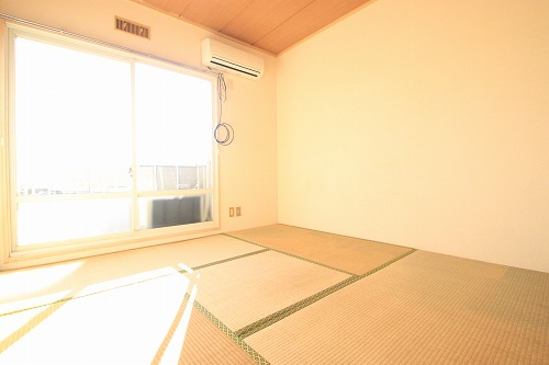 Other Equipment. Our HP⇒http /  / www.t-apapla.com / 