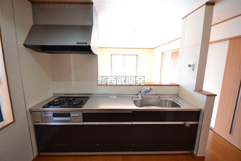 Kitchen. Indoor (11 May 2013) Shooting