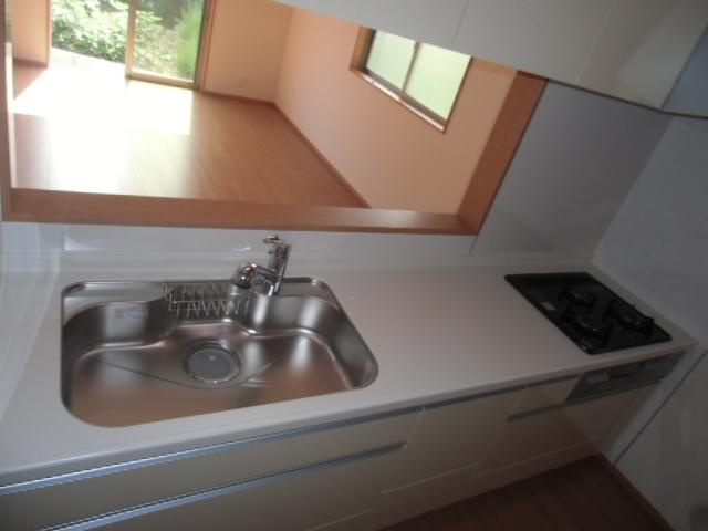 Kitchen. Indoor (10 May 2013) Shooting