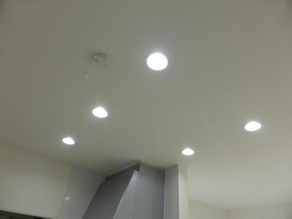 Other. Example of construction. LED Light