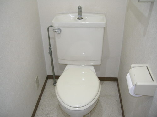 Toilet. Bathroom