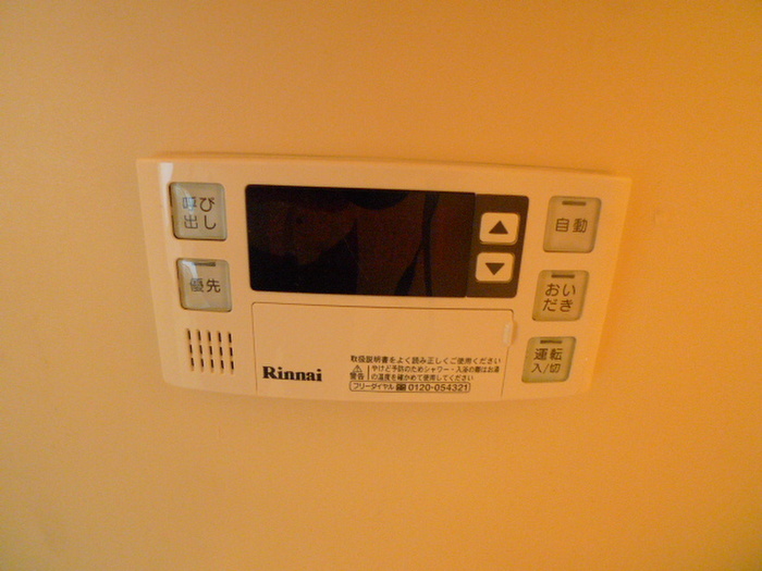 Other. With reheating