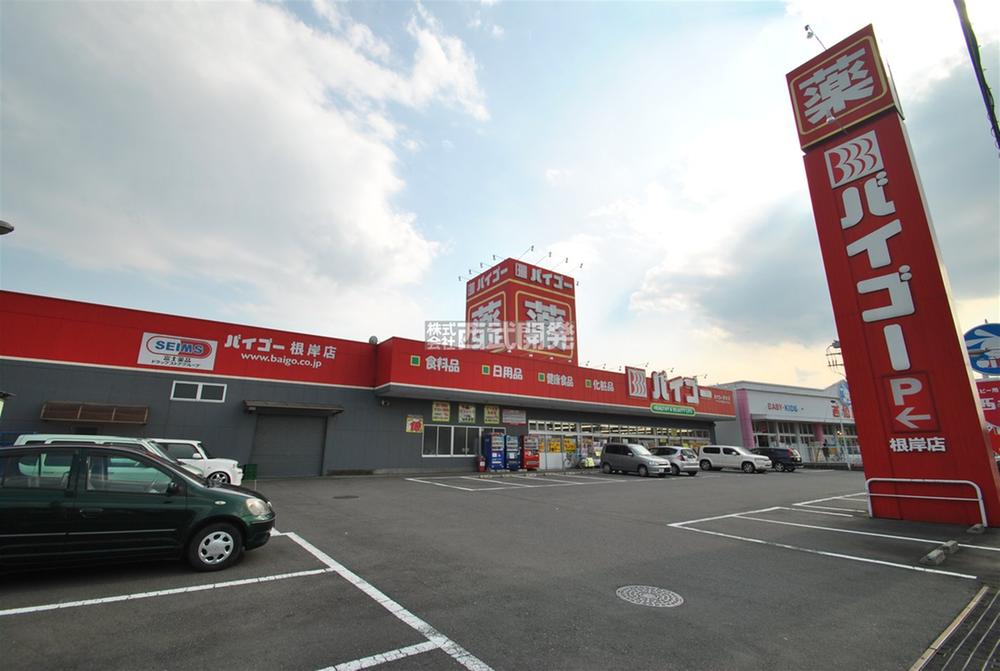 Drug store. Until Baigo 1100m