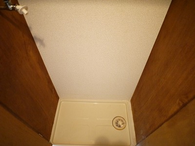 Other. Laundry Storage in the room.