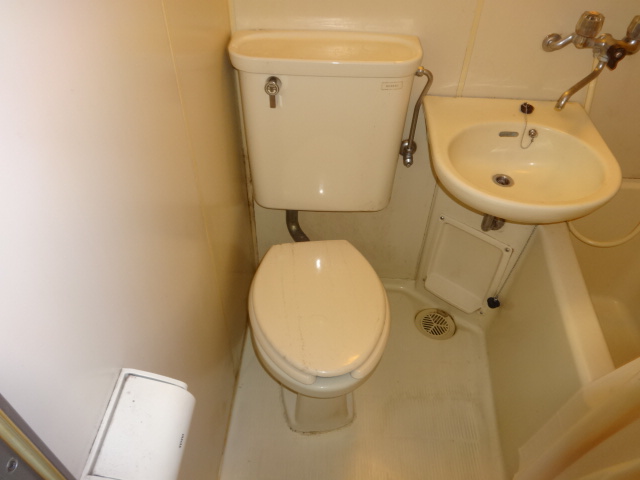 Toilet. The same type