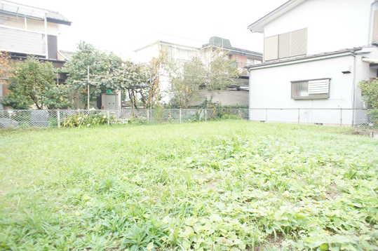 Local land photo. Local Photos