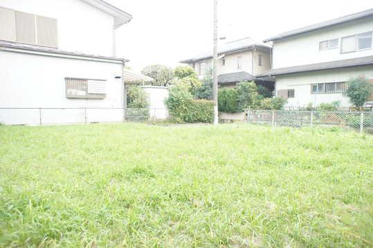 Local land photo. Local Photos