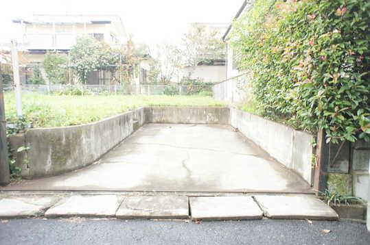 Local land photo. Local Photos