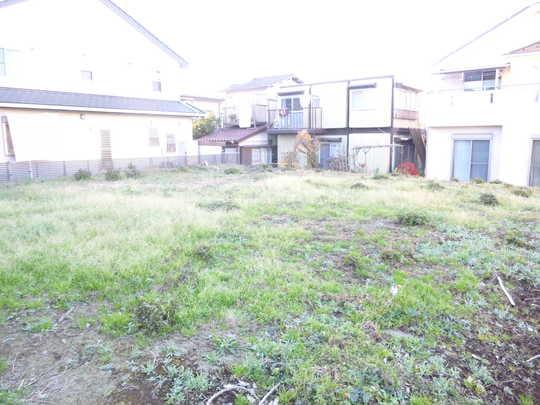 Local land photo. Local Photos