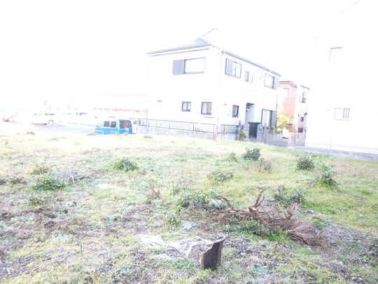 Local land photo. Local Photos