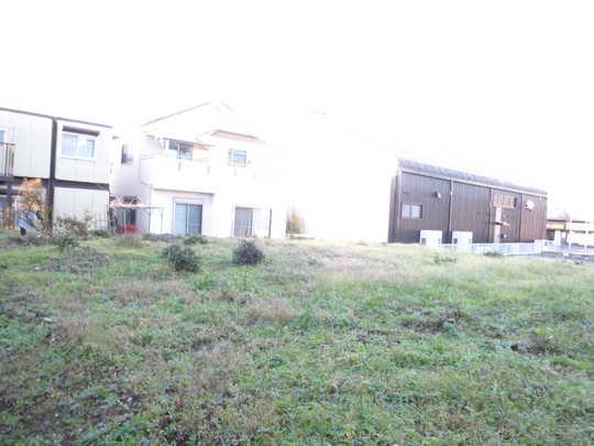 Local land photo. Local Photos